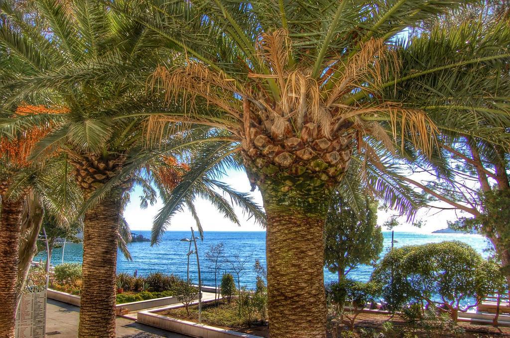 Vasiliki Seaside Apartments Petrovac 외부 사진